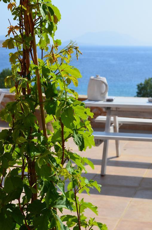 Villa Aristoteles Chalki Town Pokój zdjęcie